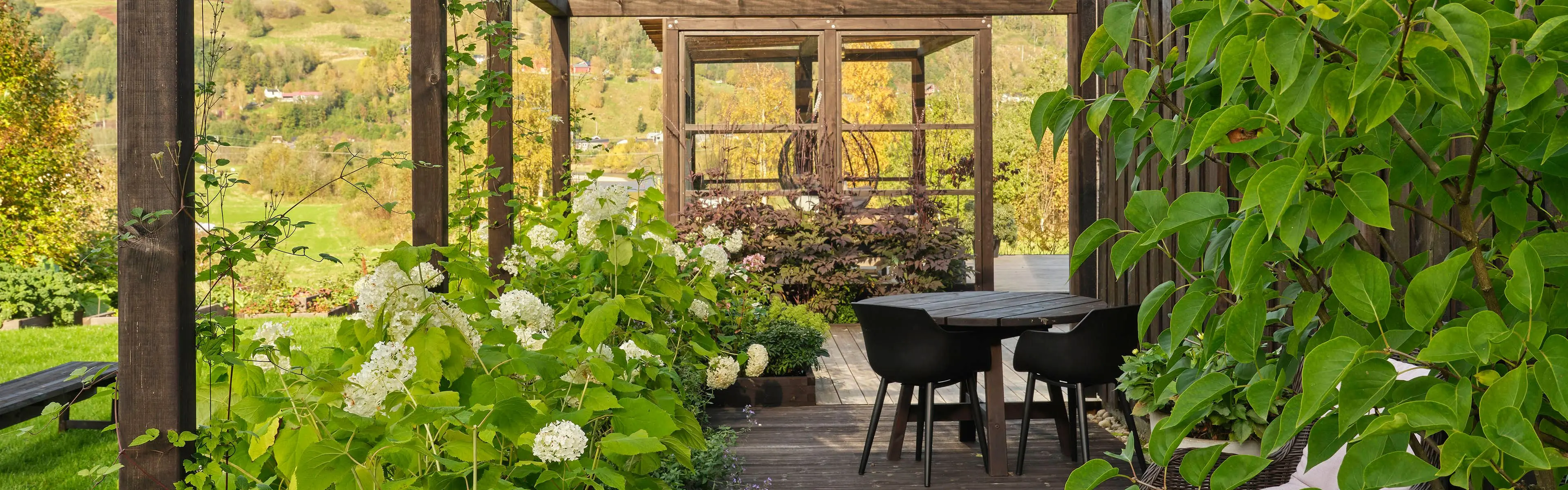 Uteplass med klatreplanter og pergola. Årets hagetrender for terrasse, belegningsstein, hagestue og utebelysning.