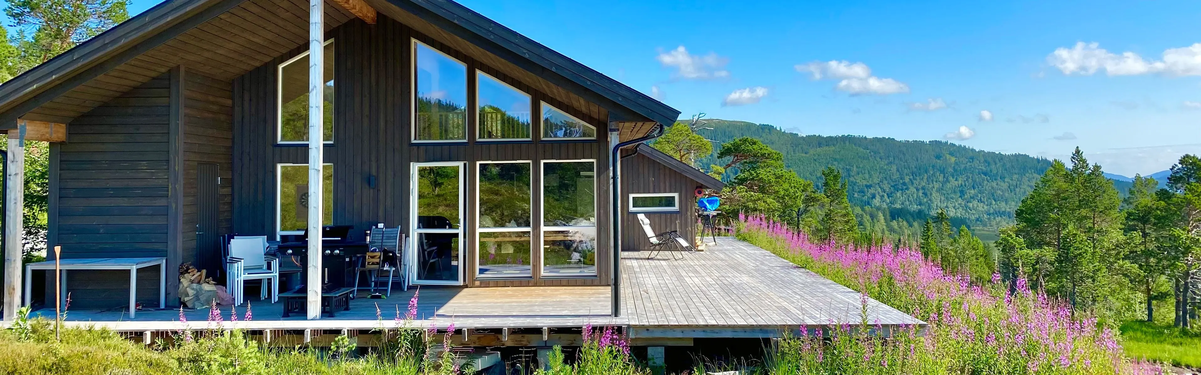 moderne, norsk hytte sett utenfra med blomstereng rundt terrassen